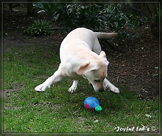 Joyful Labs Be Happy Girl "Greta"