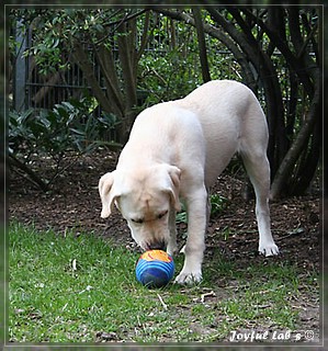 Joyful Labs Be Happy Girl "Greta"