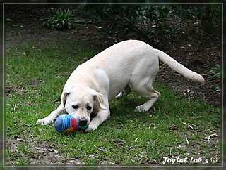 Joyful Labs Be Happy Girl "Greta"