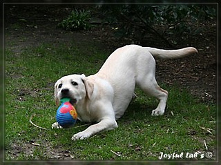 Joyful Labs Be Happy Girl "Greta"