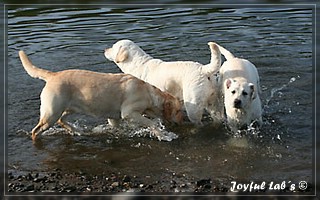 Unser Trio Emma, Frieda & Greta