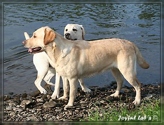 Unser Trio Emma, Frieda & Greta