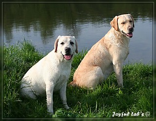 Unser Trio Emma, Frieda & Greta