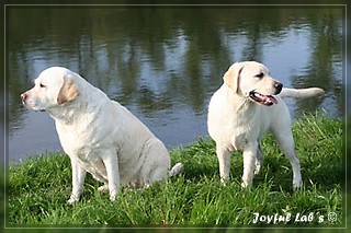 Unser Trio Emma, Frieda & Greta