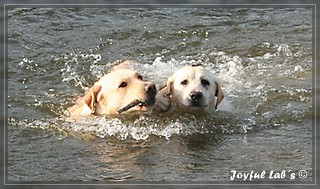 Unser Trio Emma, Frieda & Greta