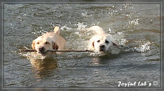 Unser Trio Emma, Frieda & Greta