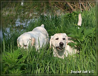 Unser Trio Emma, Frieda & Greta