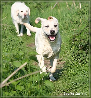 Unser Trio Emma, Frieda & Greta