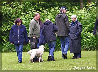 Joyful Lab's Begleithundeprfung