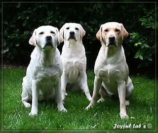 Unser Trio Emma, Frieda & Greta