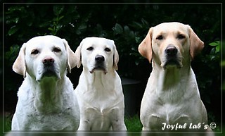 Unser Trio Emma, Frieda & Greta