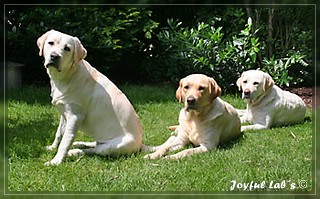 Unser Trio Emma, Frieda & Greta