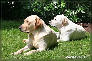 Unser Trio Emma, Frieda & Greta