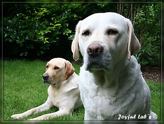 Unser Trio Emma, Frieda & Greta