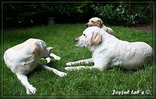 Unser Trio Emma, Frieda & Greta