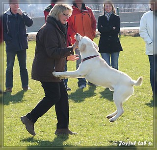 Der Wesenstest der B -chen