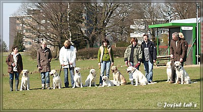 Der Wesenstest der B -chen