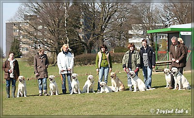 Der Wesenstest der B -chen