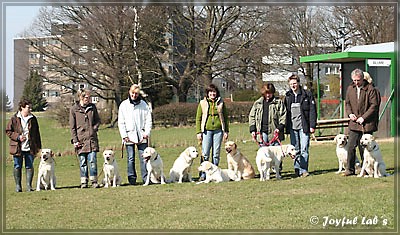 Der Wesenstest der B -chen