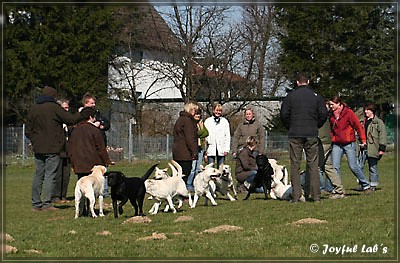 Der Wesenstest der B -chen