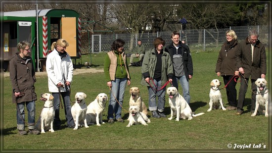 Wesenstest der Joyful Lab's B -chen