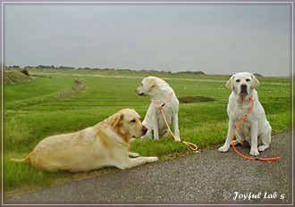 Trio Urlaub 2009