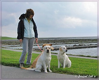 Trio Urlaub 2009