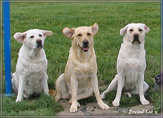 Trio Urlaub 2009