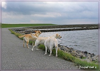 Trio Urlaub 2009