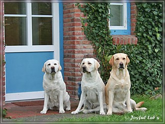 Trio Urlaub 2009