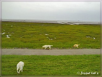 Trio Urlaub 2009