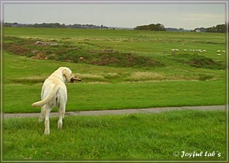 Trio Urlaub 2009