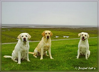 Trio Urlaub 2009