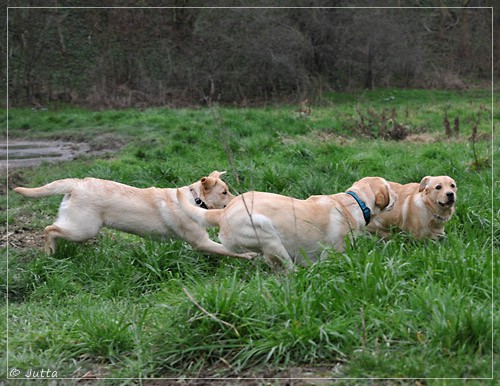 Joyful Lab's Eye-Catching Girl & Entire my Girl