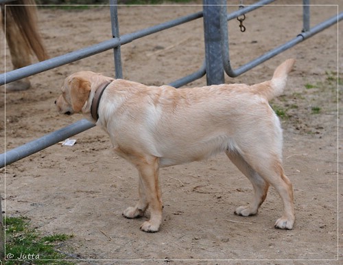 Joyful Lab's Eye-Catching Girl & Entire my Girl