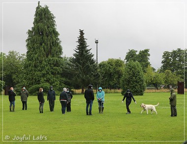 Wesenstest der Joyful Lab's  E-chen