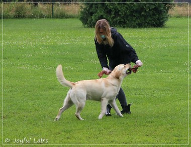 Wesenstest der Joyful Lab's  E-chen