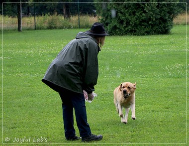 Wesenstest der Joyful Lab's  E-chen