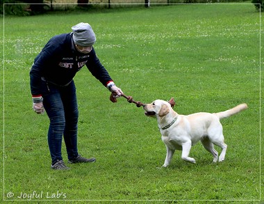 Wesenstest der Joyful Lab's  E-chen