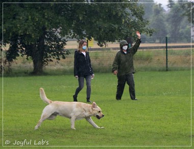 Wesenstest der Joyful Lab's  E-chen