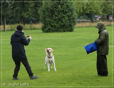 Wesenstest der Joyful Lab's  E-chen