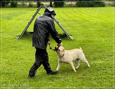 Wesenstest der Joyful Lab's  E-chen