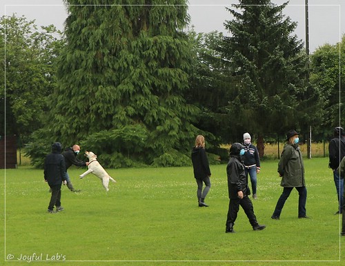 Wesenstest der Joyful Lab's  E-chen