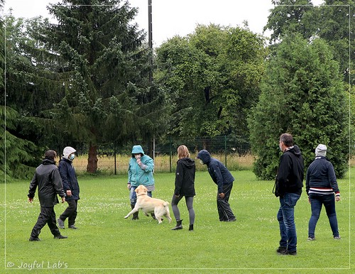 Wesenstest der Joyful Lab's  E-chen