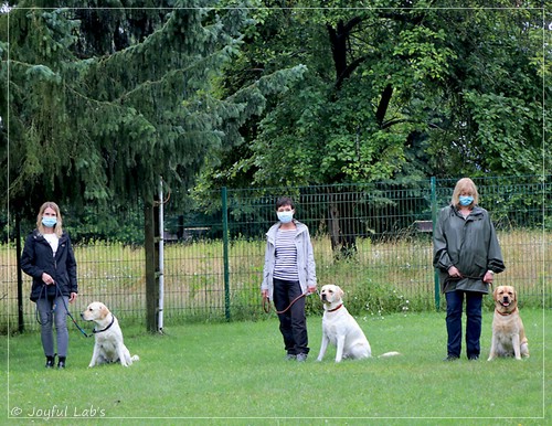 Wesenstest der Joyful Lab's  E-chen