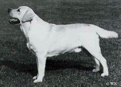 Sandylands Gad-About