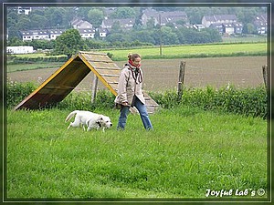 Joyful Labs A-Wurf Wesenstest