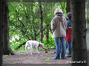 Joyful Labs A-Wurf Wesenstest