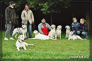 Joyful Labs A-Wurf Wesenstest