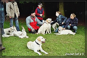 Joyful Labs A-Wurf Wesenstest